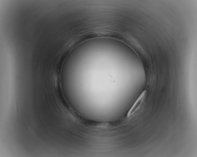 X0000115780124200911201319