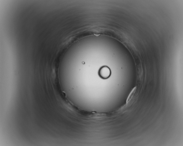 X0000115780128200911201319