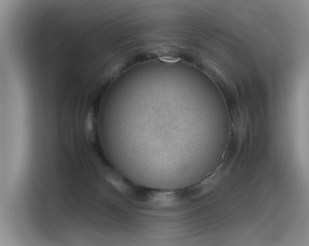 X0000115780132200911201319