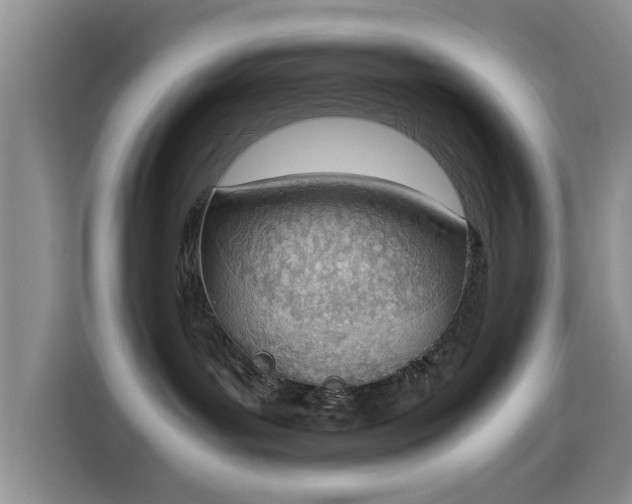 X0000115780143200911201319