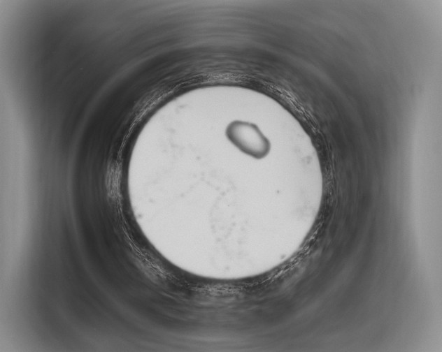 X0000115780146200911201319