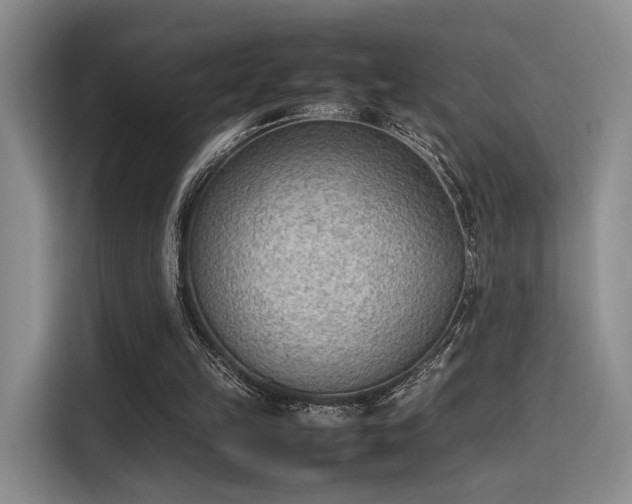 X0000115780149200911201319