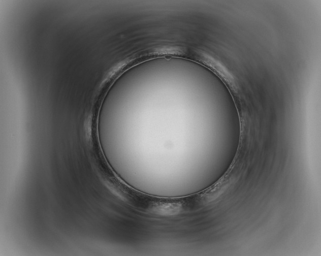 X0000115780155200911201319