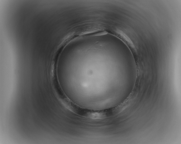 X0000115780163200911201319