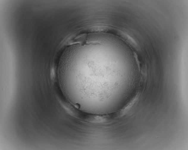 X0000115780166200911201319