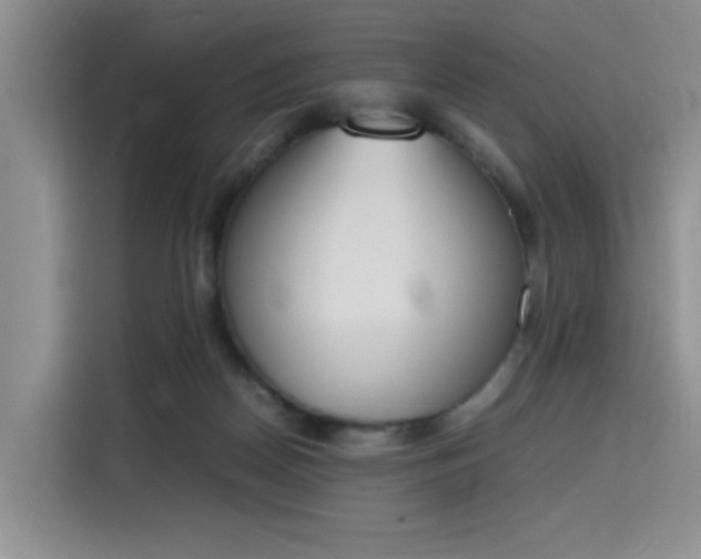 X0000115780170200911201319