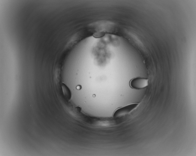 X0000115780171200911201319