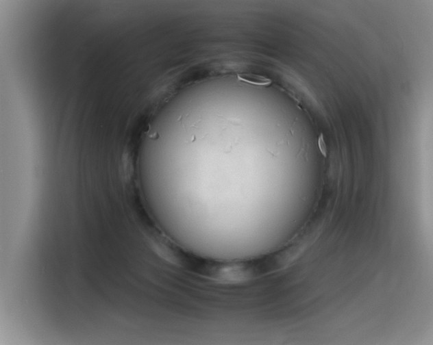 X0000115780173200911201319