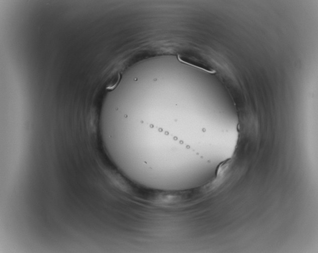 X0000115780174200911201319