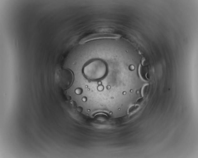 X0000115780175200911201319