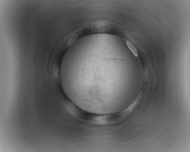 X0000115780178200911201319