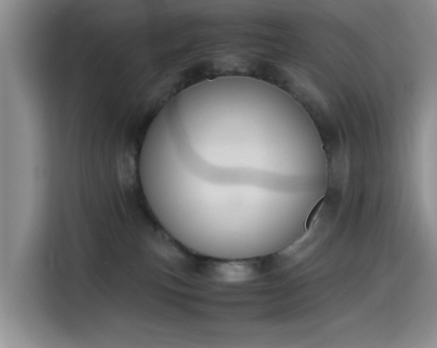 X0000115780183200911201319