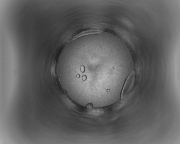 X0000115780185200911201319