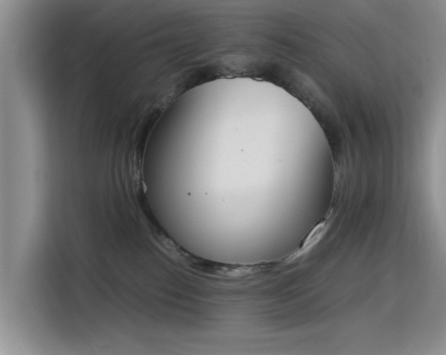 X0000115780186200911201319