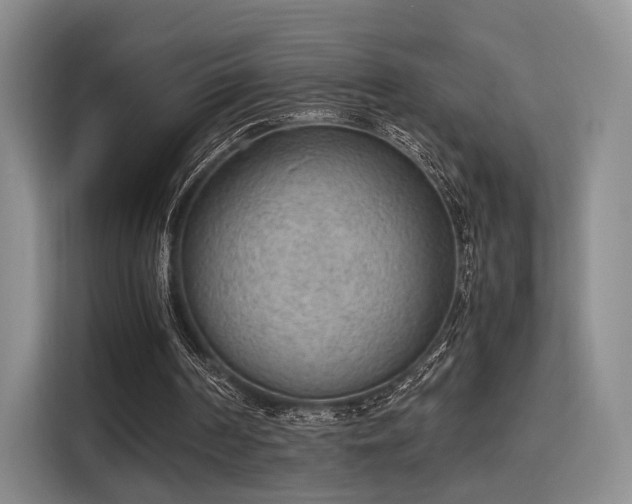 X0000115780194200911201318