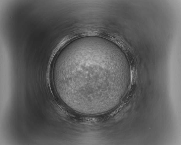 X0000115780195200911201318