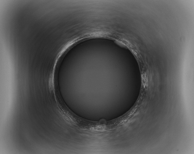 X0000115780196200911201318