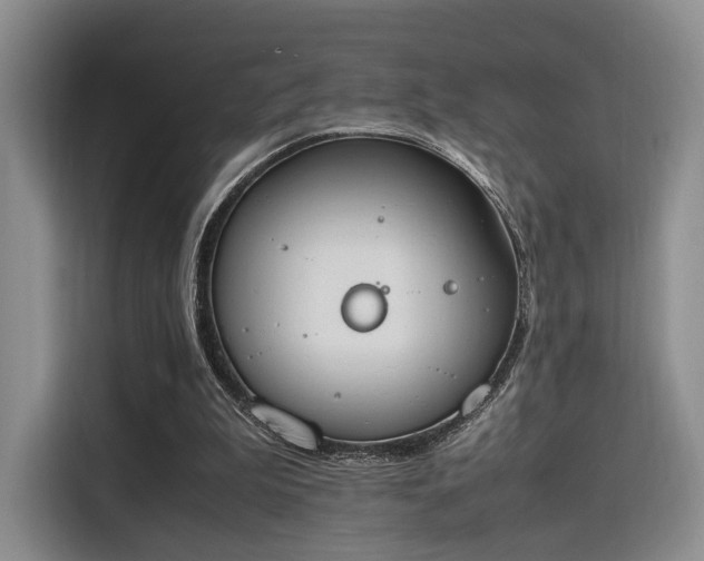 X0000115780199200911201318