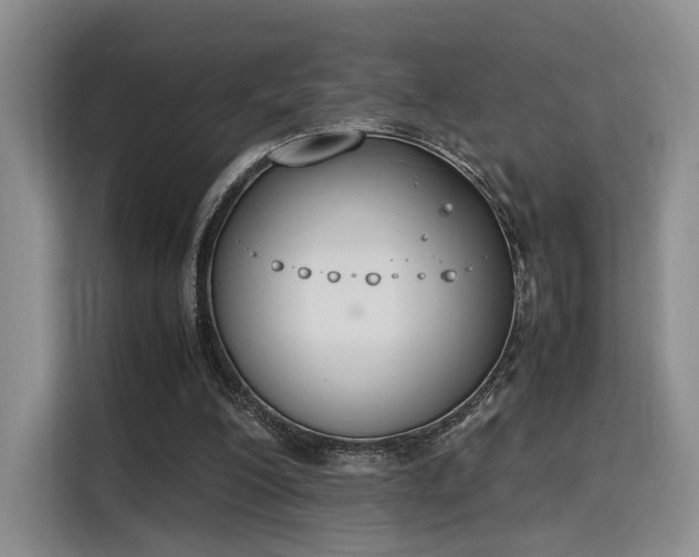 X0000115780200200911201318