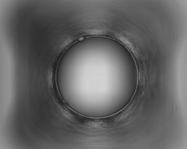 X0000115780201200911201318