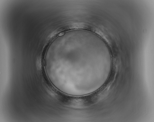 X0000115780203200911201318