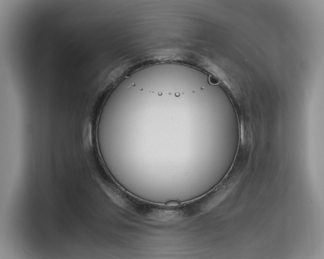 X0000115780205200911201318