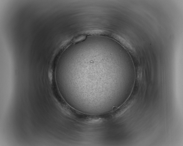 X0000115780206200911201318