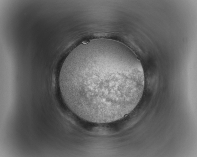 X0000115780211200911201318