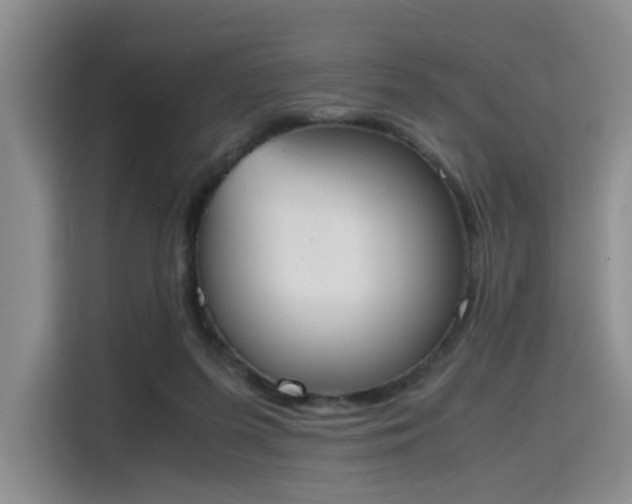 X0000115780215200911201318