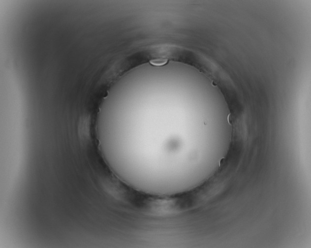 X0000115780217200911201318