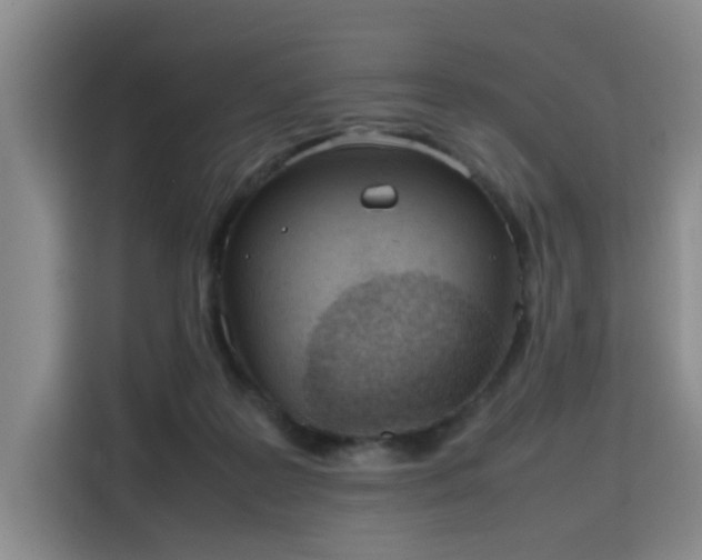 X0000115780219200911201318