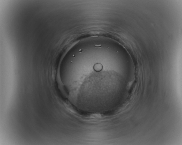 X0000115780227200911201318