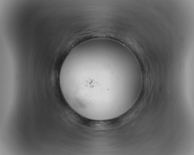 X0000115780229200911201318