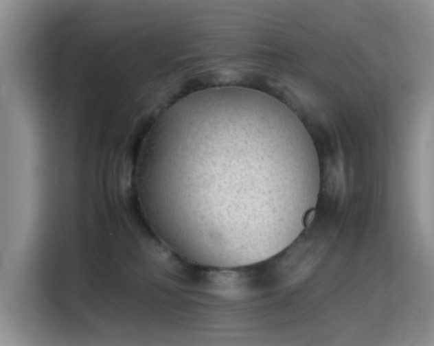 X0000115780230200911201318