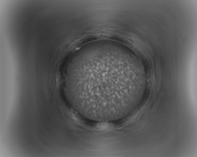 X0000115780231200911201318