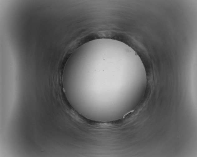 X0000115780233200911201318