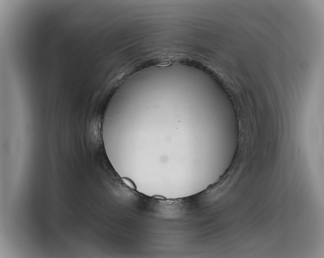 X0000115780240200911201318