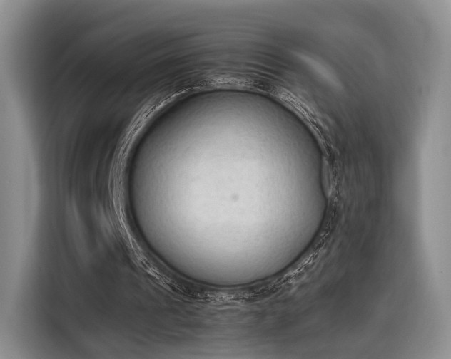 X0000115780241200911201317