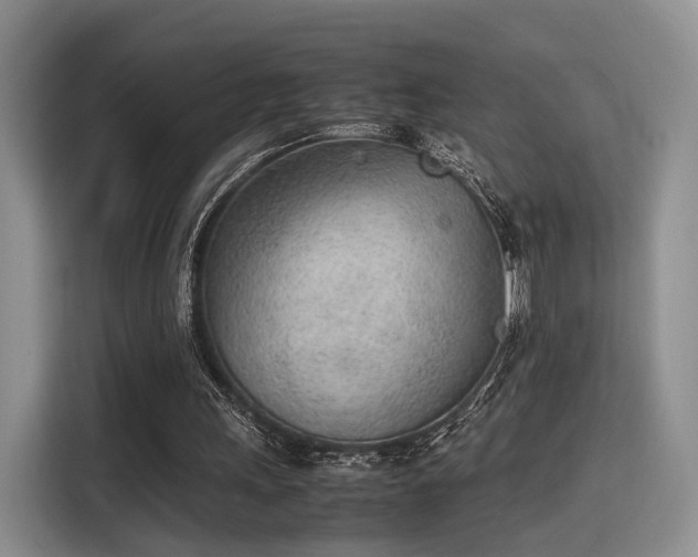 X0000115780243200911201317