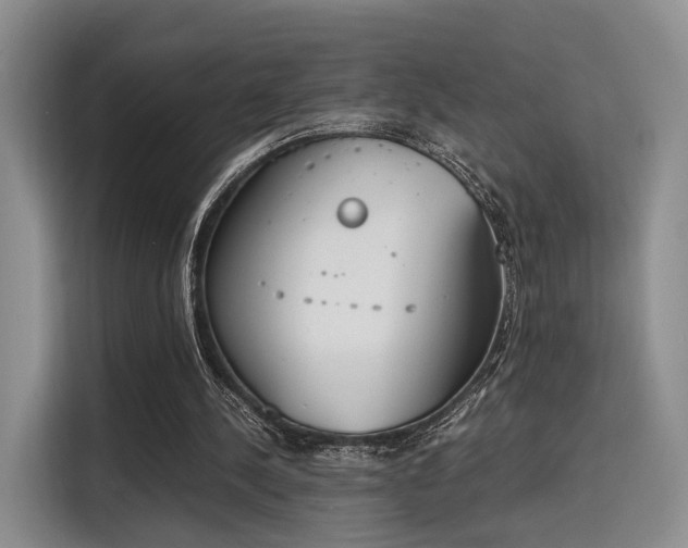 X0000115780244200911201317