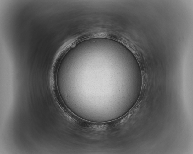 X0000115780245200911201317