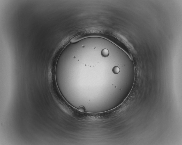 X0000115780250200911201317