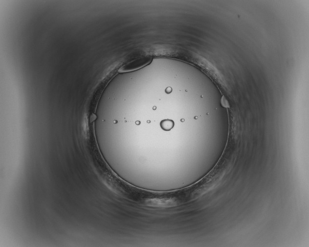 X0000115780251200911201317