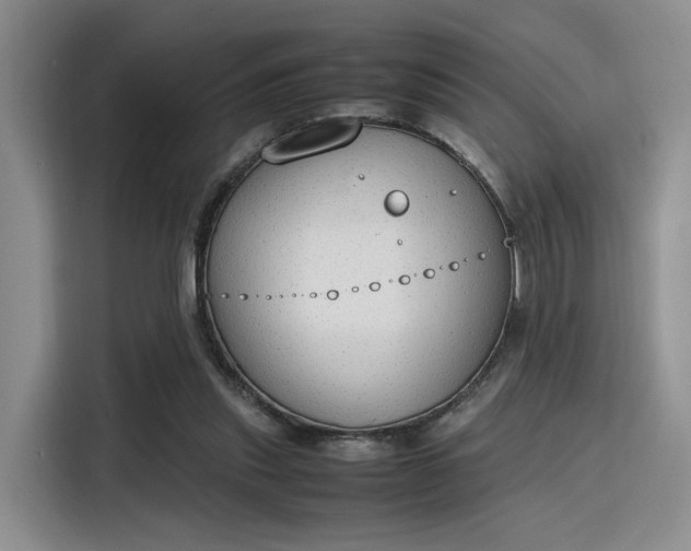 X0000115780253200911201317