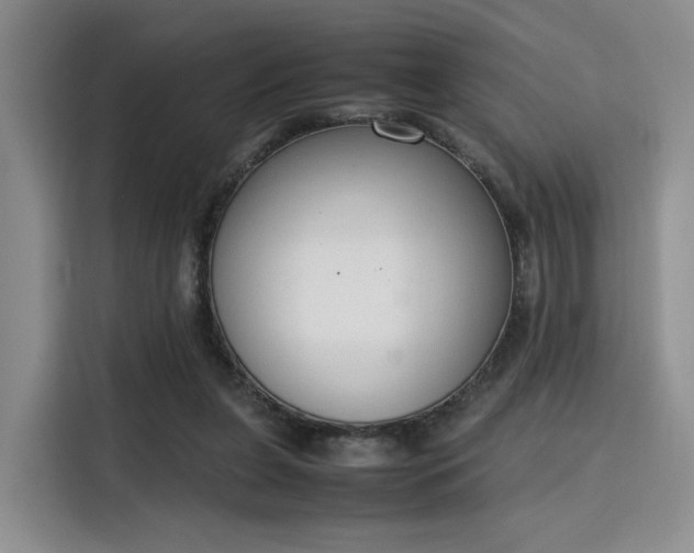 X0000115780255200911201317