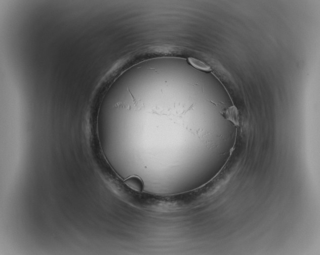 X0000115780256200911201317