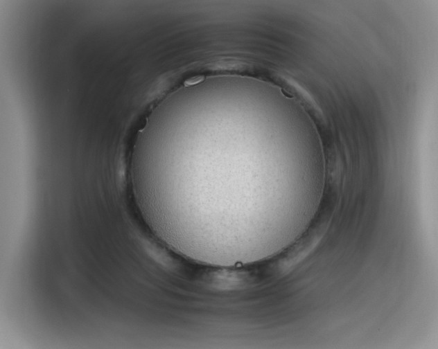 X0000115780261200911201318