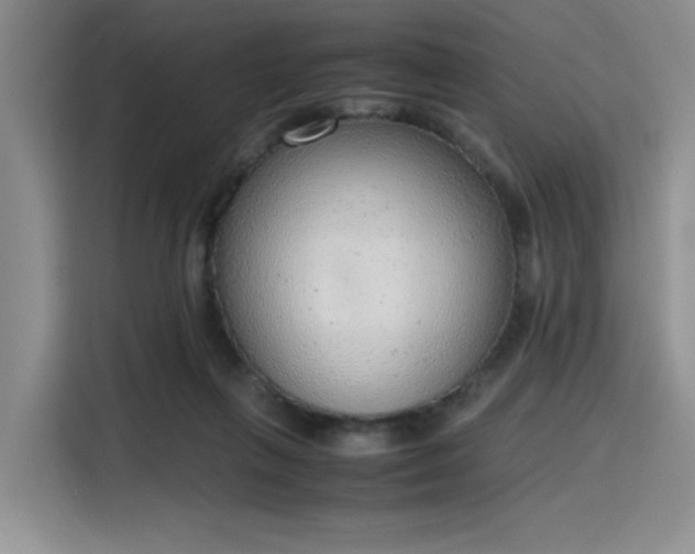 X0000115780263200911201318