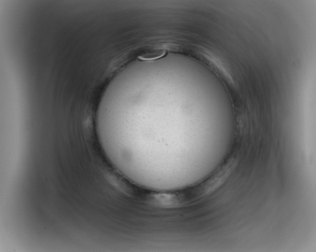 X0000115780265200911201318