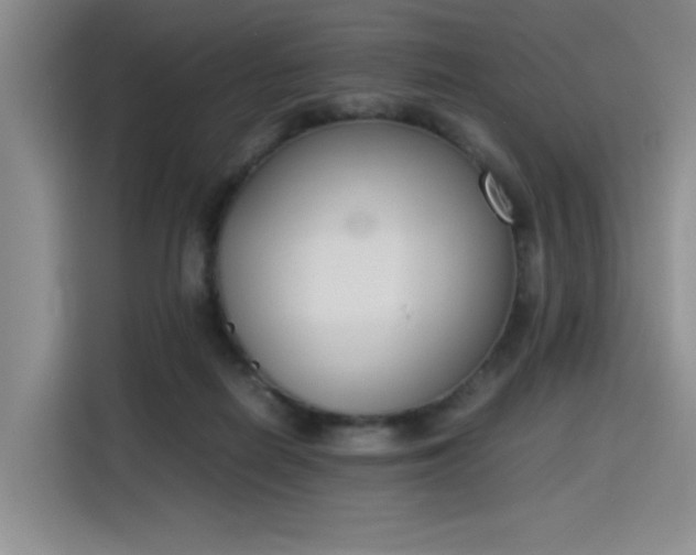 X0000115780266200911201318